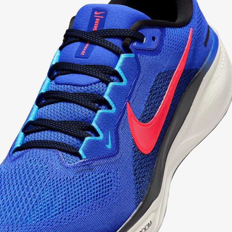Nike Pegasus 41