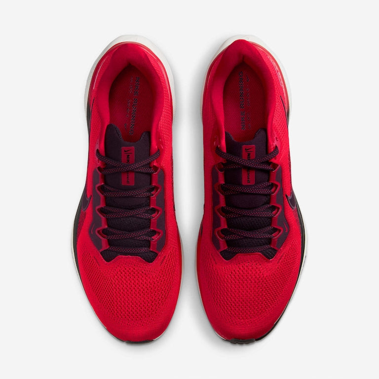 Nike Pegasus 41