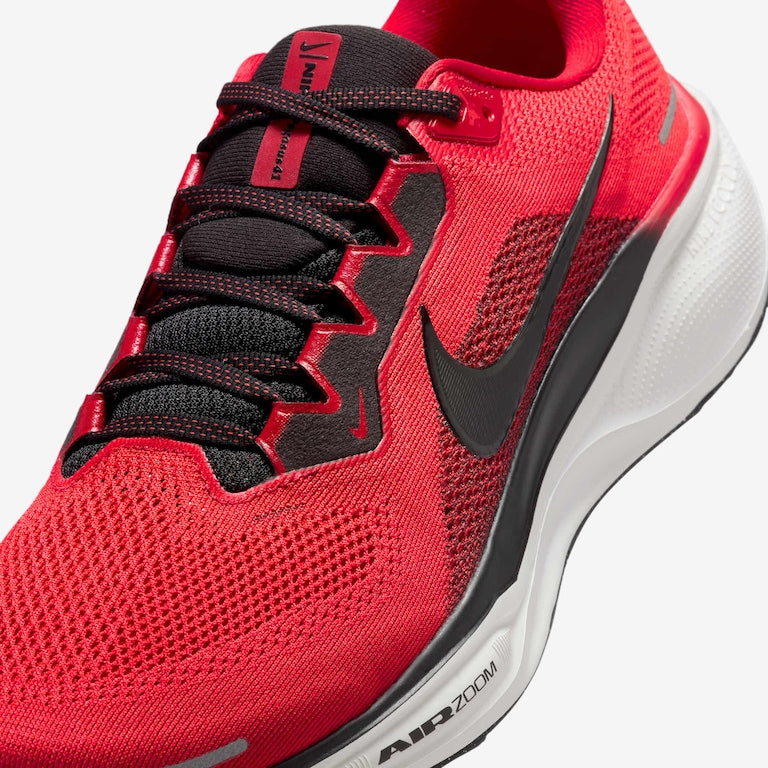 Nike Pegasus 41