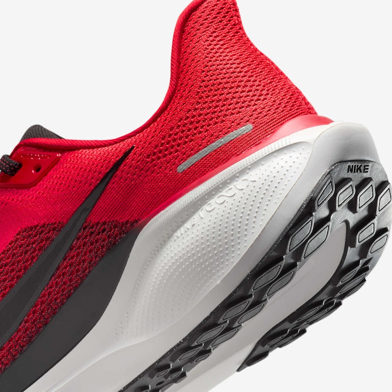 Nike Pegasus 41